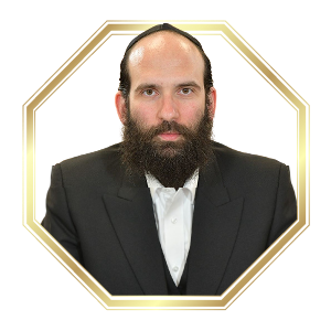 יהודה מורגנשטרן 