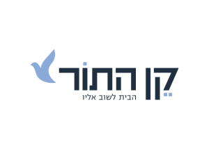 חגית וולף